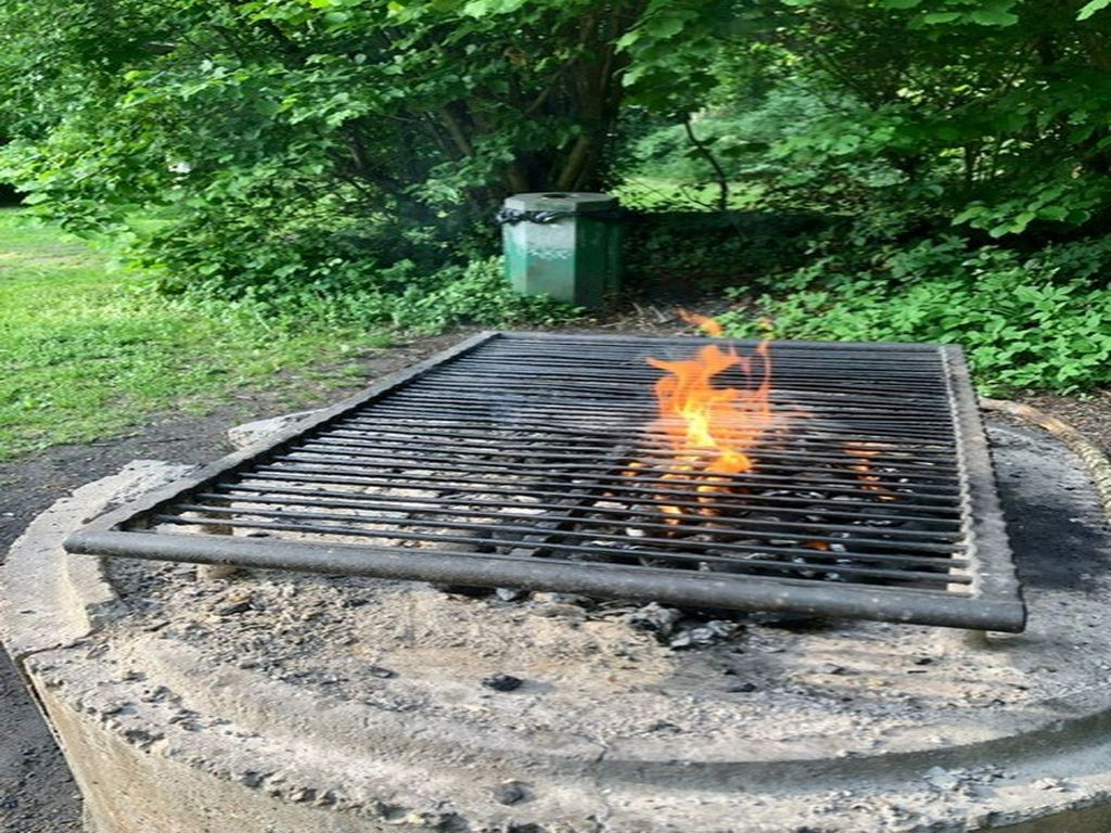 Niendorger Gehege Grillplatz