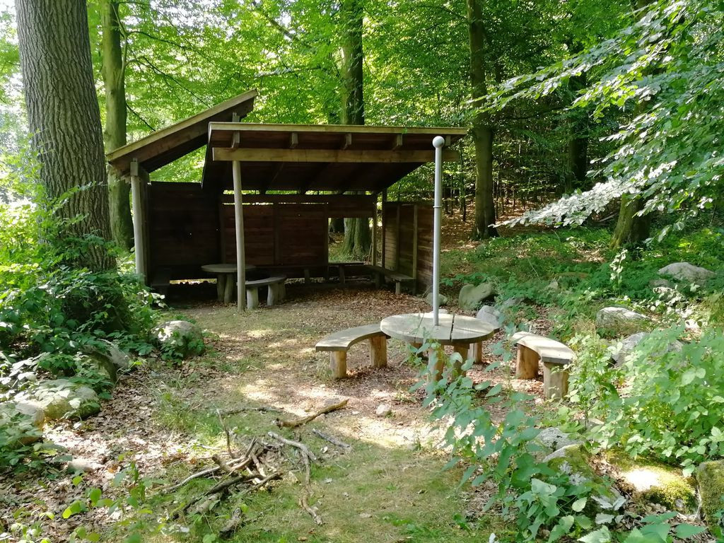 Shelter