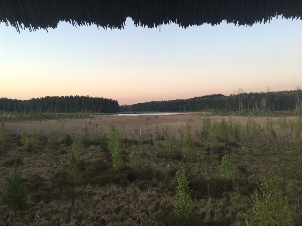 Aussichtsturm Nationalpark