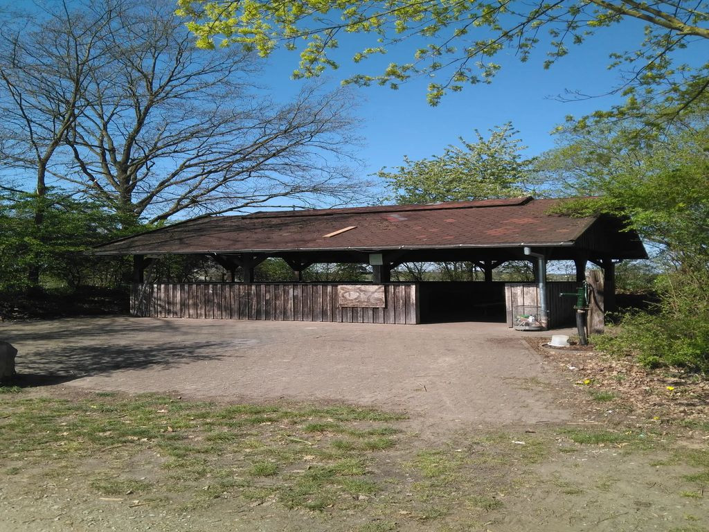 2934- Grillplatz Wienhausen