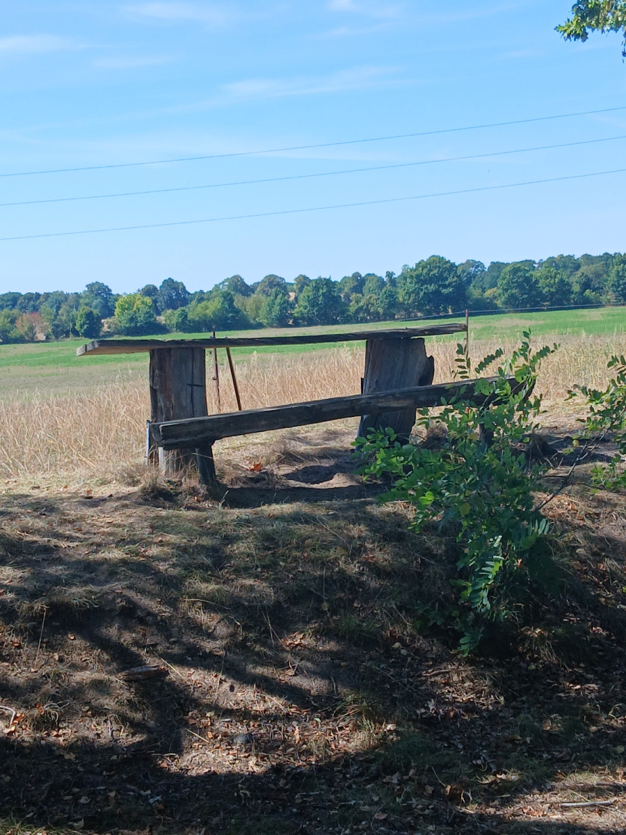 Lunch shelter near Zechliner Straße