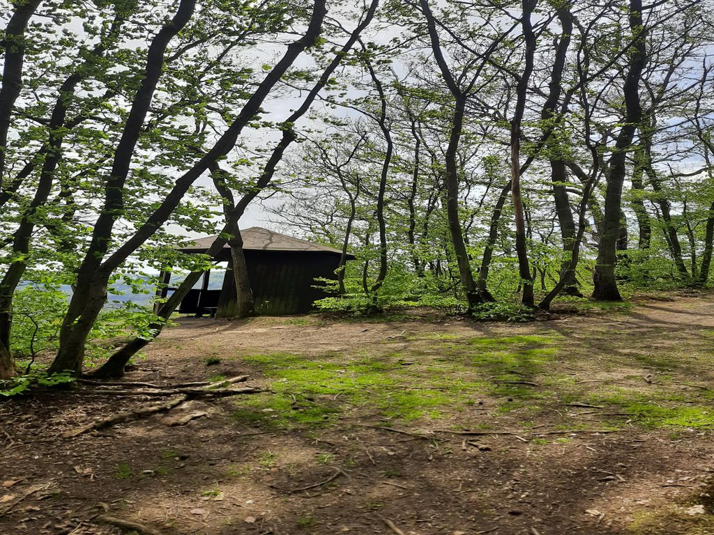 Pavilion