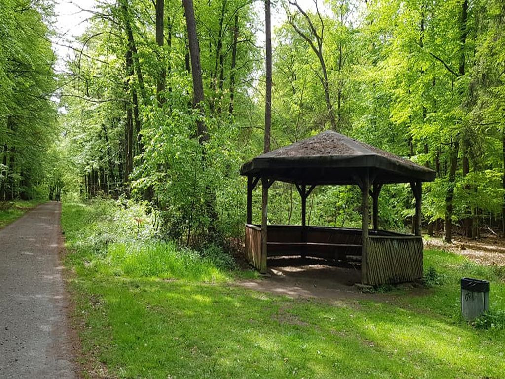 Basic shelter