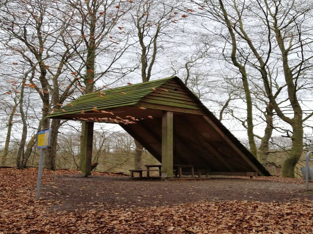 Basic Shelter