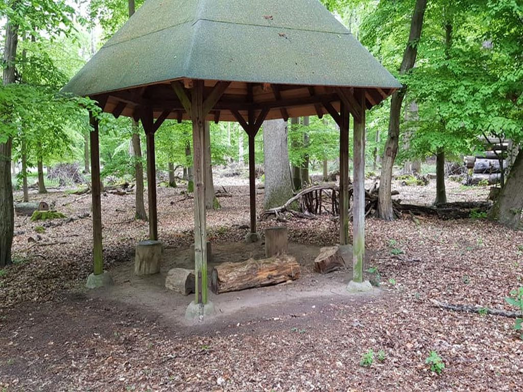 Basic shelter
