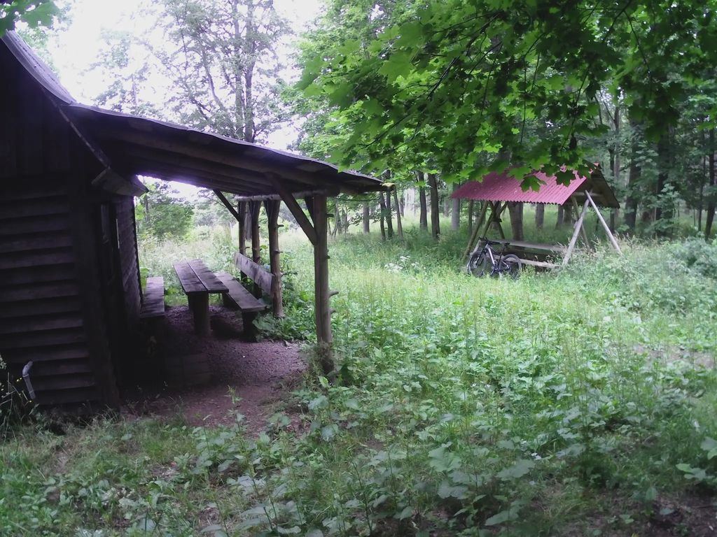 38899 - Hütte im Wald