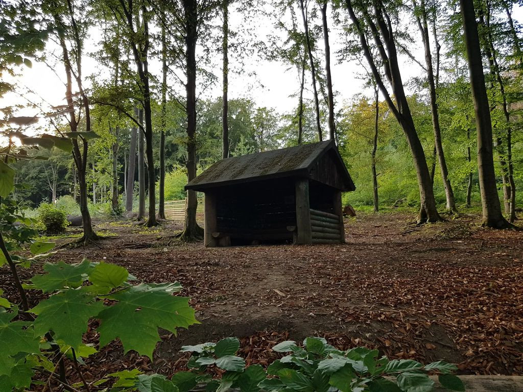 Lunch shelter near Heidt
