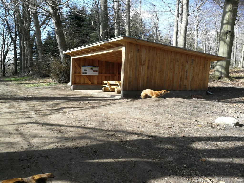 Shelter Rammsee