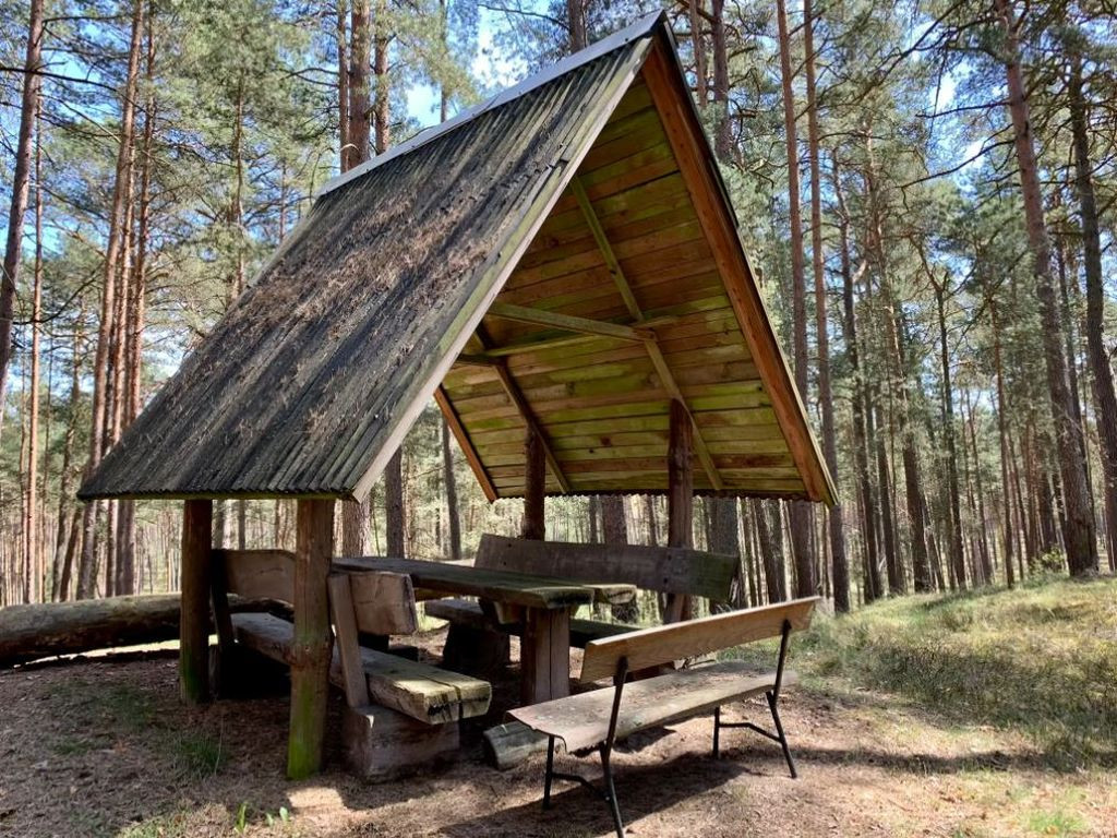 versteckter Unterstand im Wald