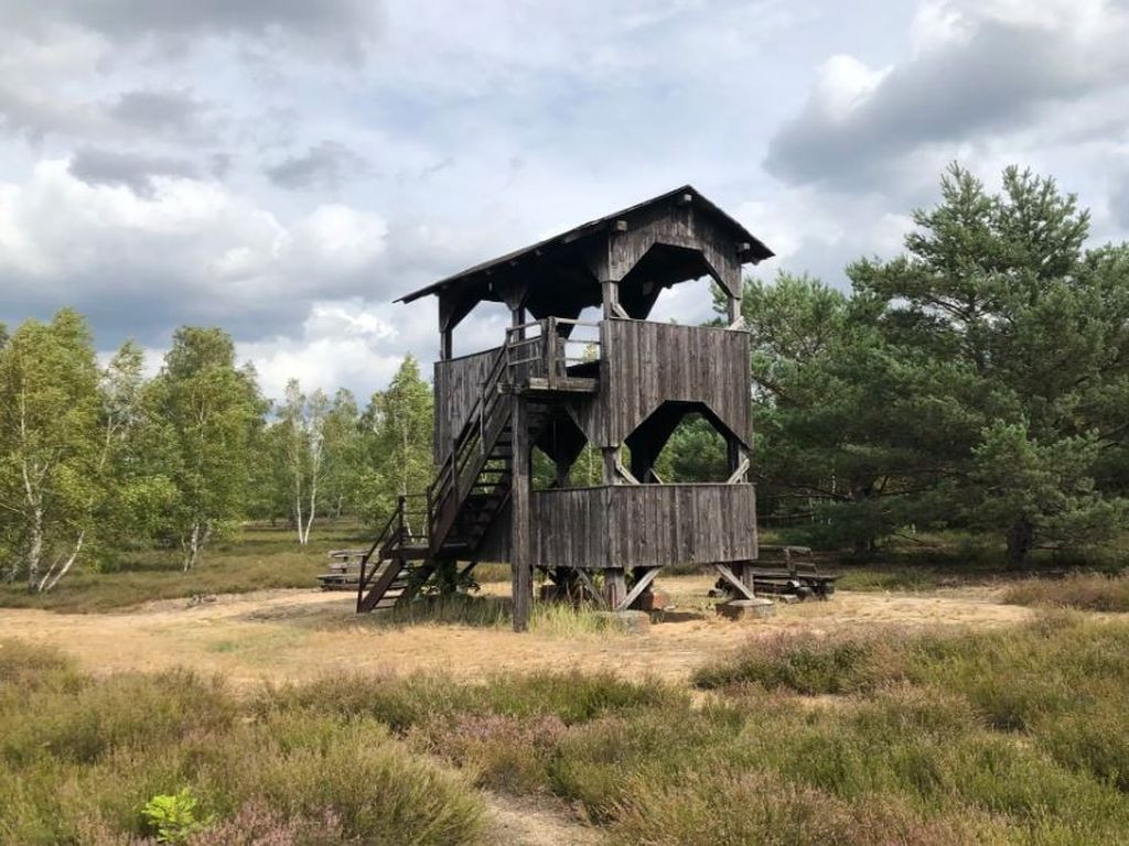 Aussichtsturm Reicherskreutzer Heide