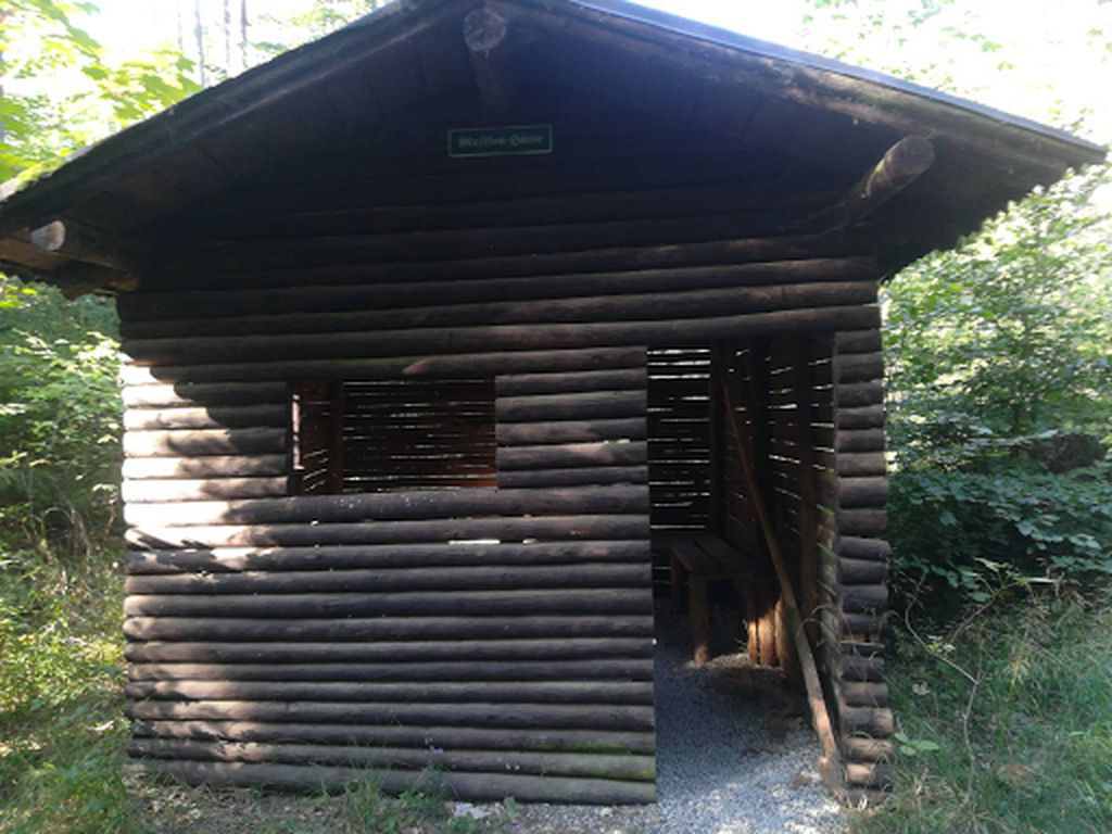 Mufflonhütte