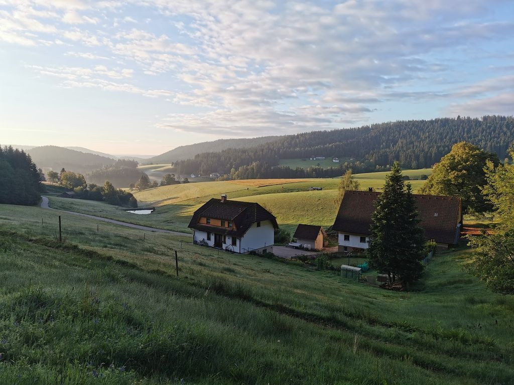 Bienenhäusle