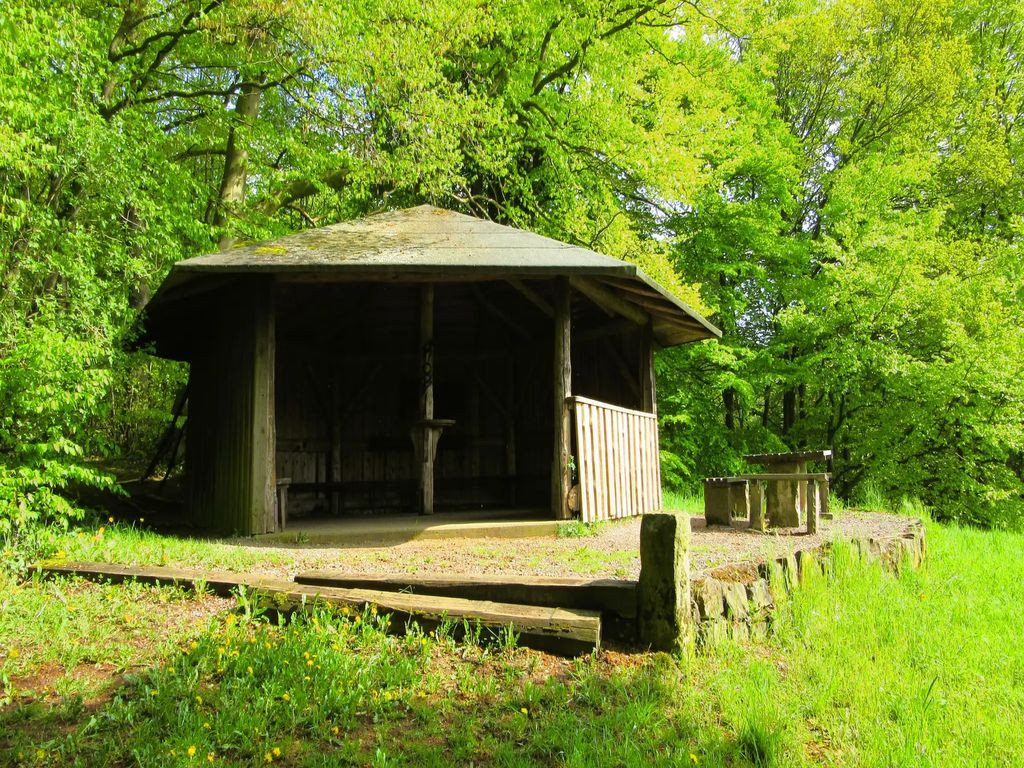 31737 - Liegewiese mit Schutzhütte Steinbergen