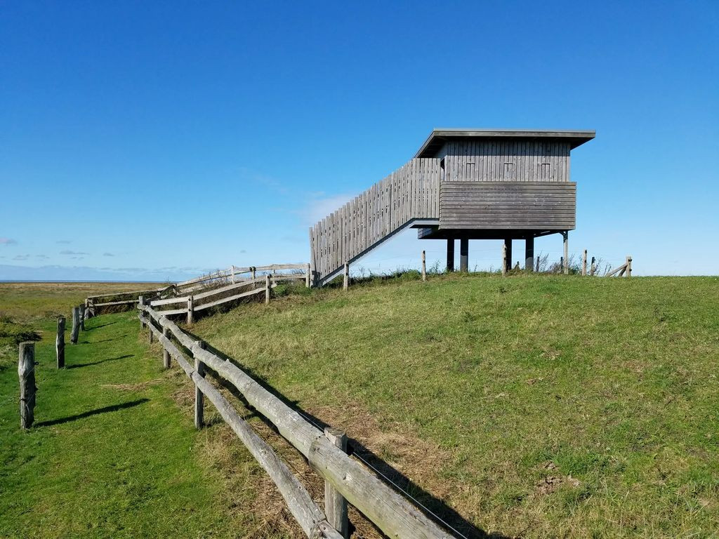 Vogelbeobachtungsturm Cappel Neufeld