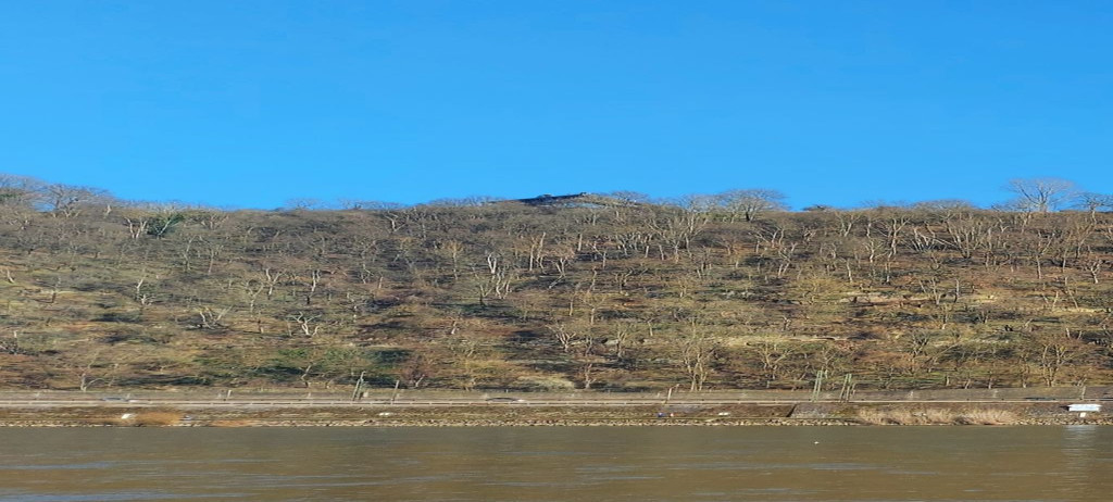 Koblenzer Kanten Rhein-Mosel-Blick