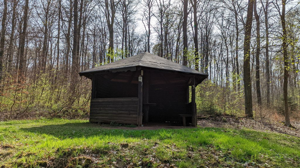 Schutzhütte im Wald