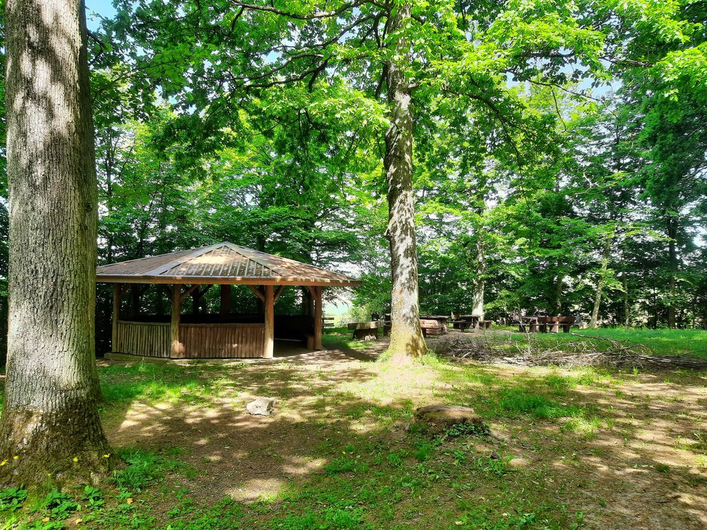 Schutzhütte im Wald
