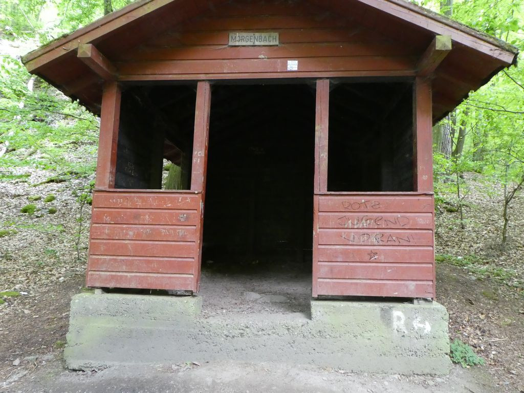 5541- Schutzhütte Am Morgenbach
