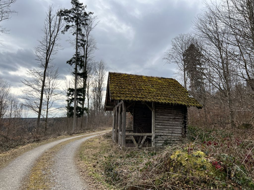 Shelter near Hohrißweg