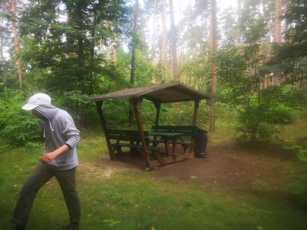 Rest place