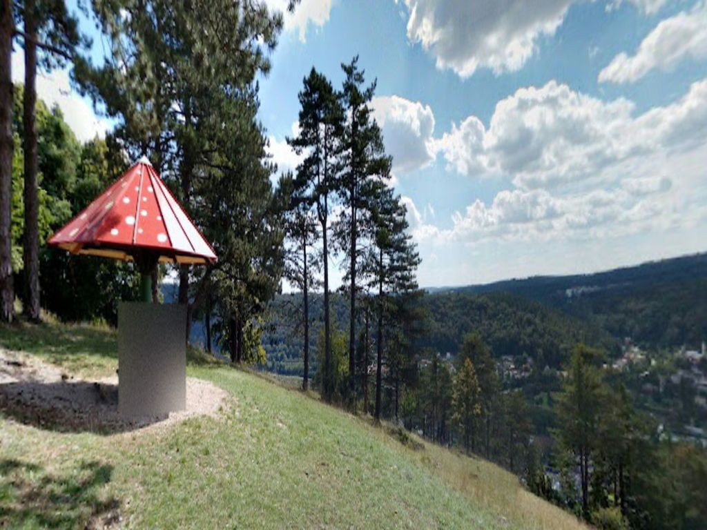 Schwammerl Riedenburg
