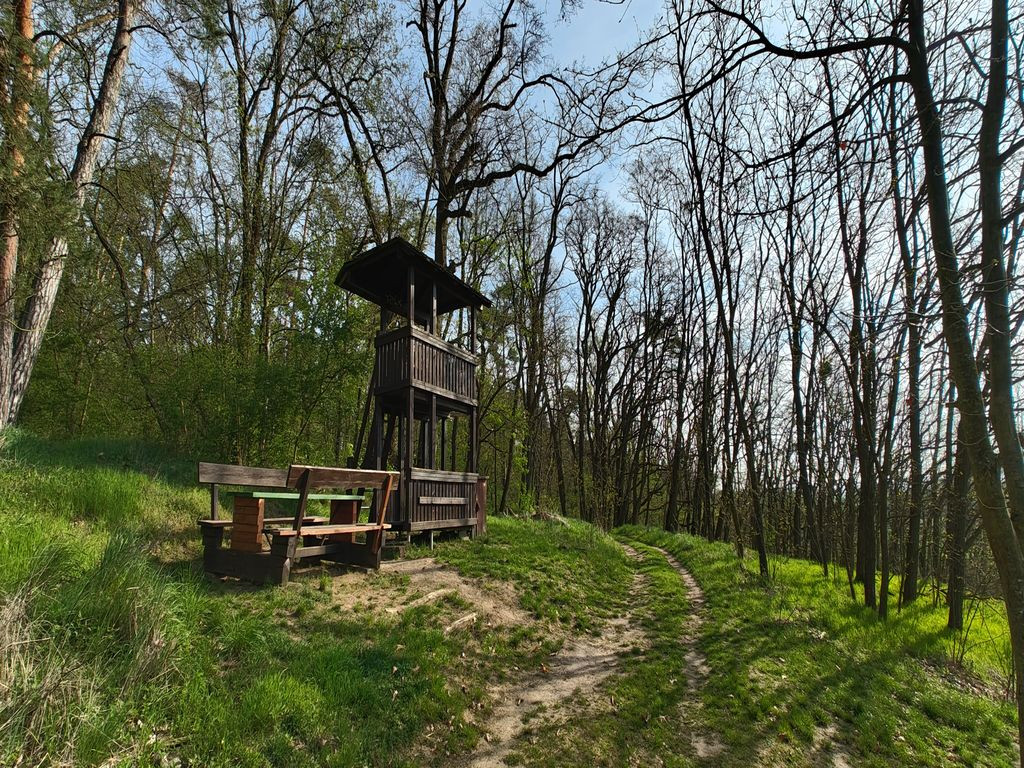 Aussichtsturm
