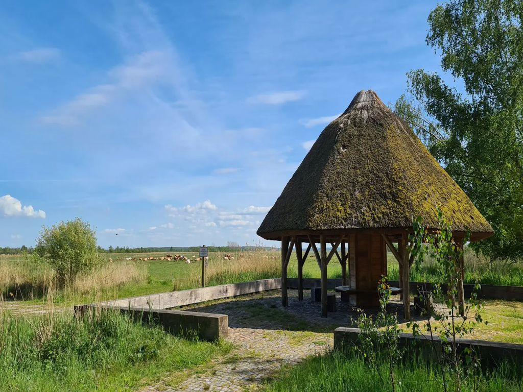Pavilion