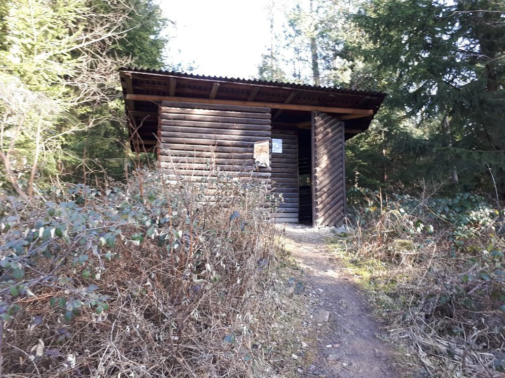Wild-Beobachtungsstand "Castell"