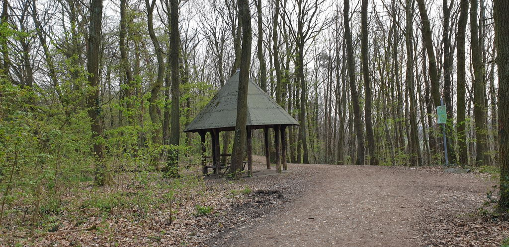 Basic shelter Kottenforst