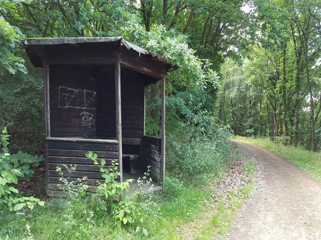 Lunch shelter near Hunsrückhöhenstraße