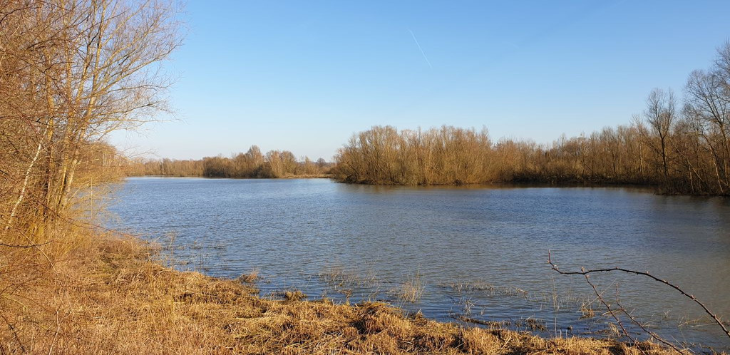 Vogelbeobachtungshütte