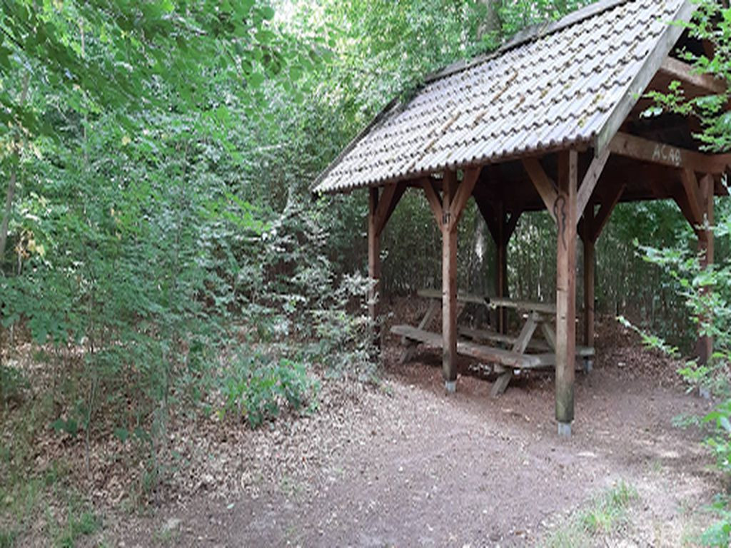 Basic Shelter