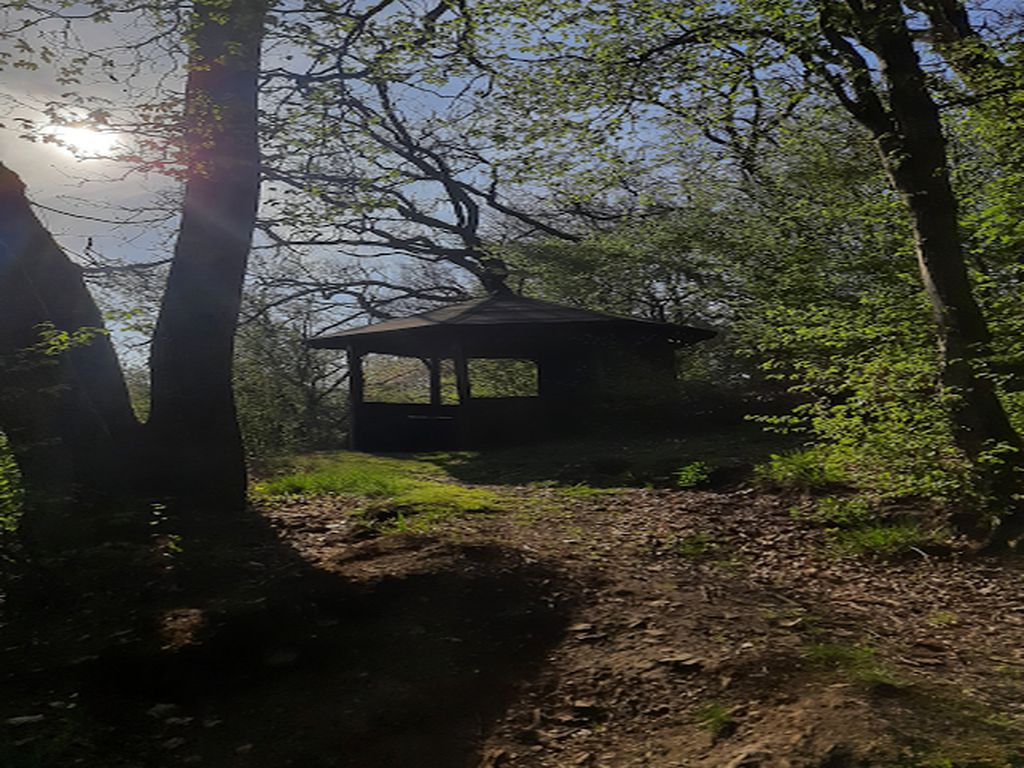Pavilion