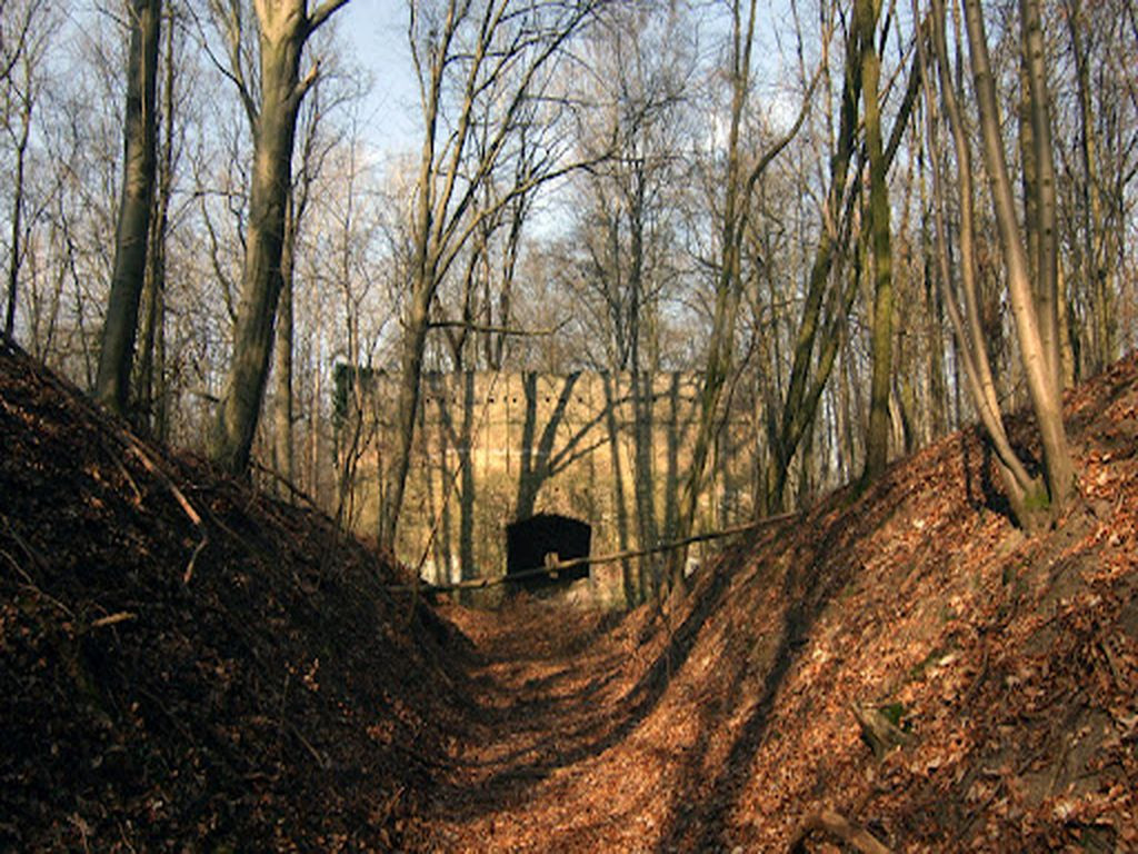 Alte Schießwände im Katharinenholz