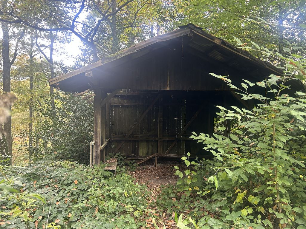 Überreste einer Schutzhütte