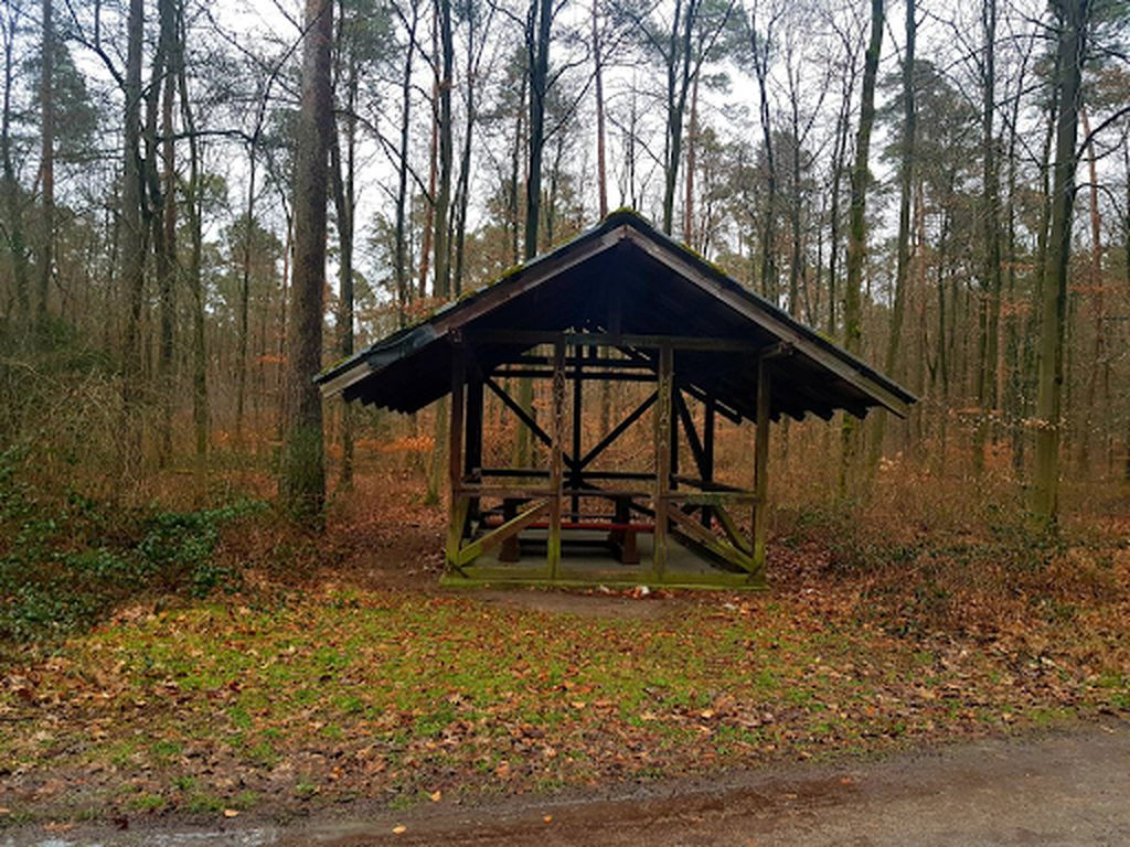 Basic shelter