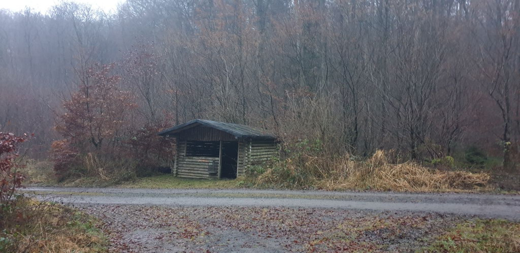 Shelter near Erlengrund