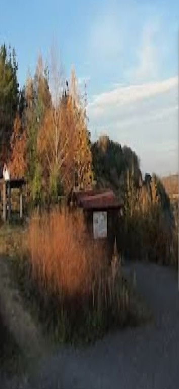 Shelter Aussichtspunkt Zeilberg