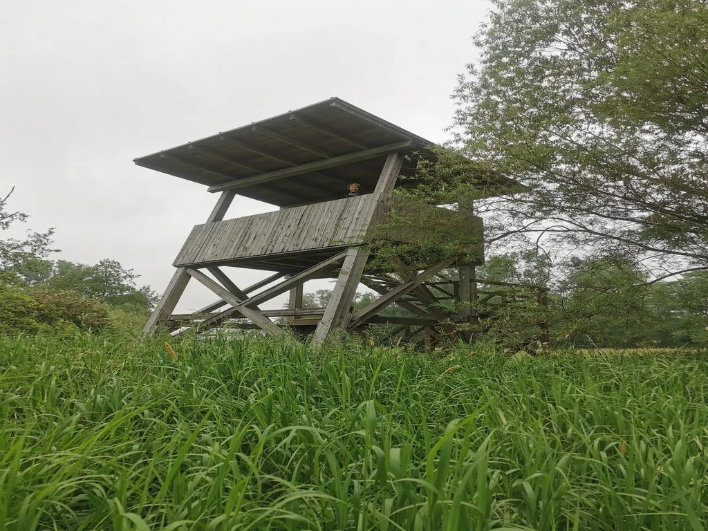 Birdwatching tower