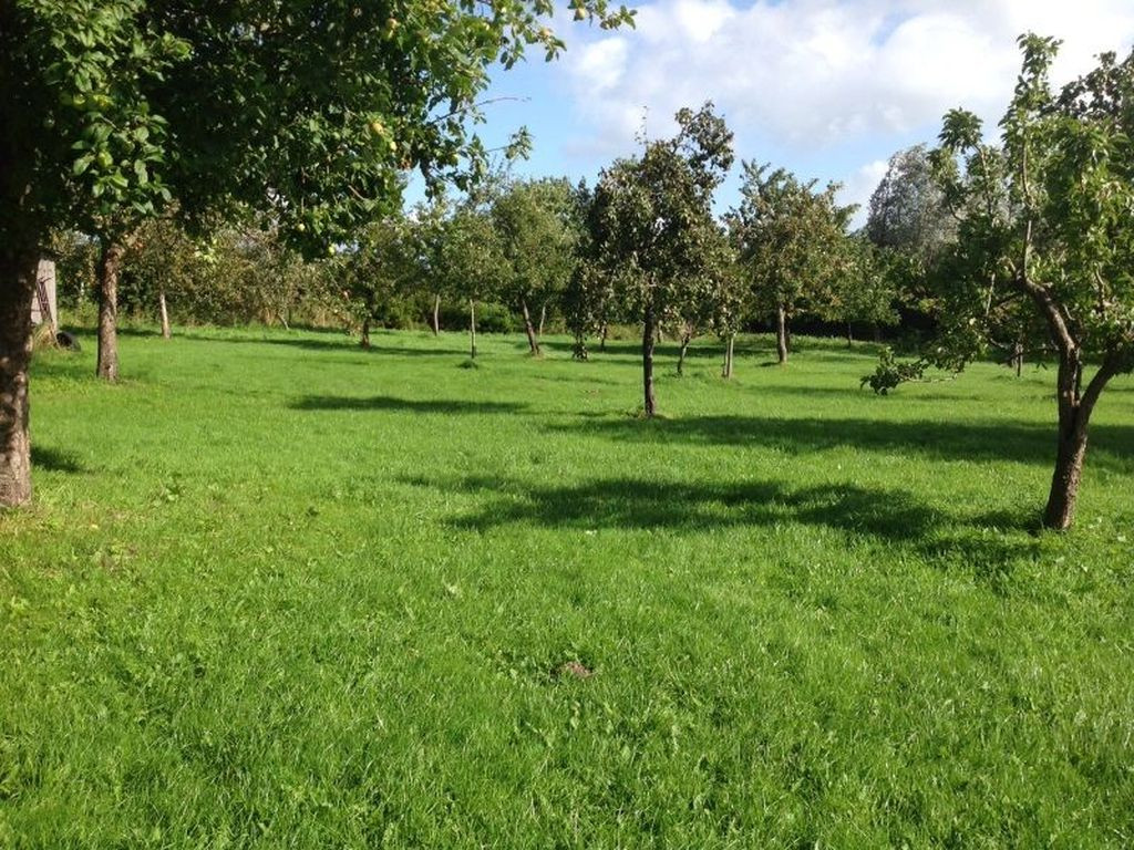 Bivouac Drage - Wildes SH