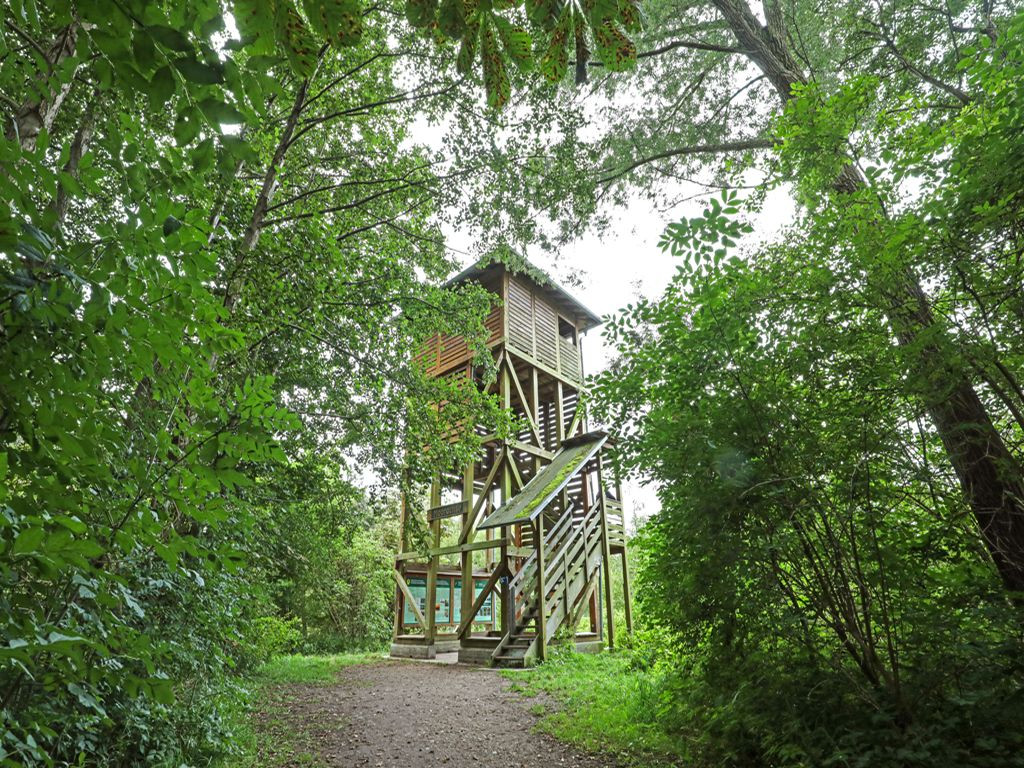Shelter Beobachtungsturm "Moorochse"