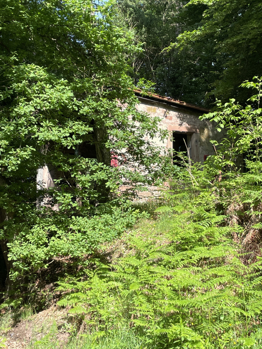 Shelter near Römerstraße