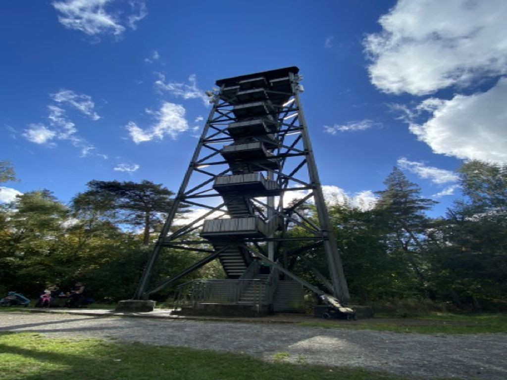 Feuerwachturm am Farnberg