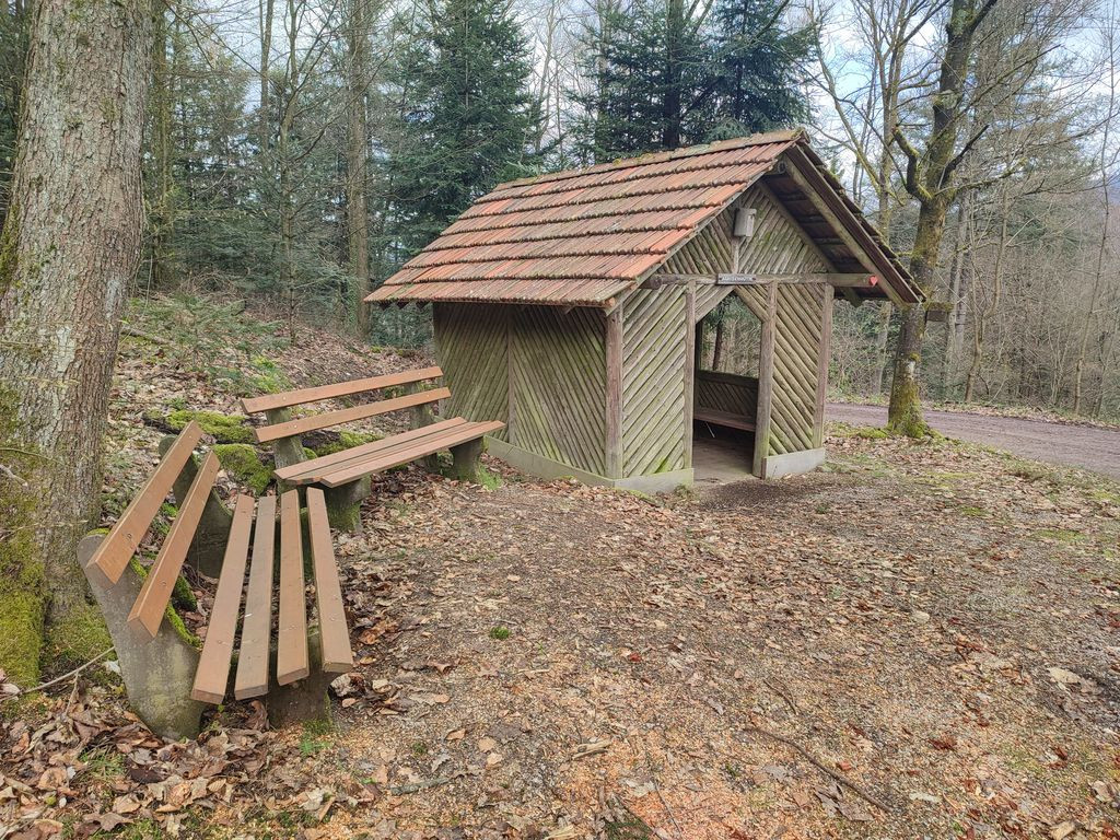 Ameisenhütte
