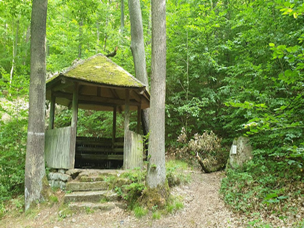Buchwald Pavillon