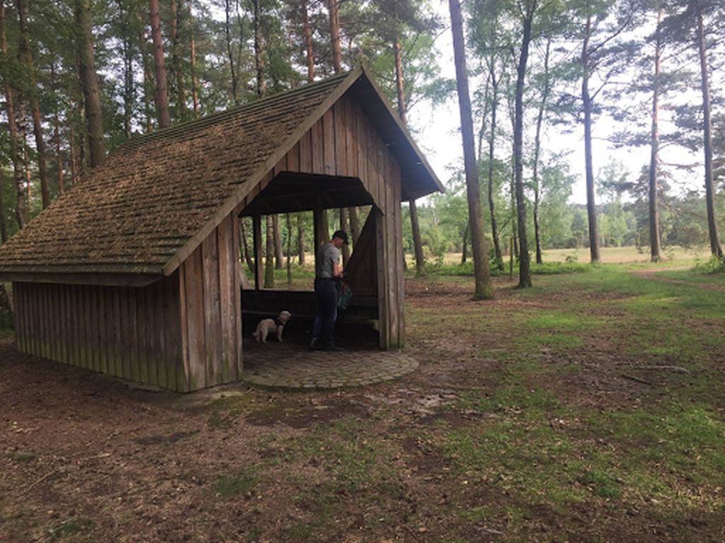 Lean-To