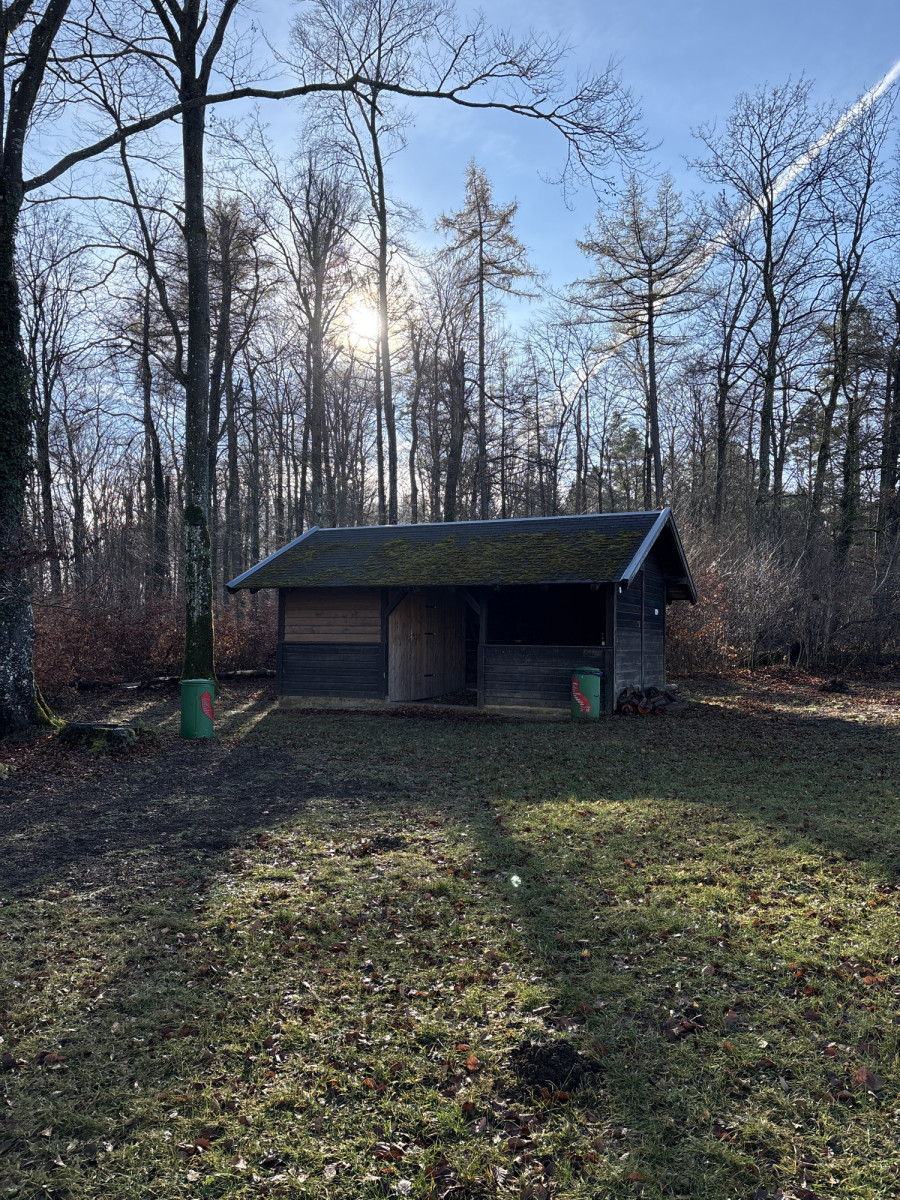 Shelter near Schönbergweg