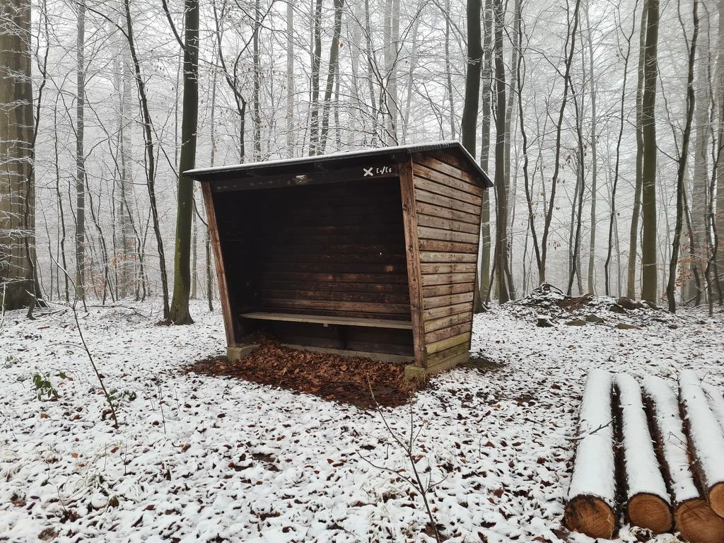 Basic Shelter