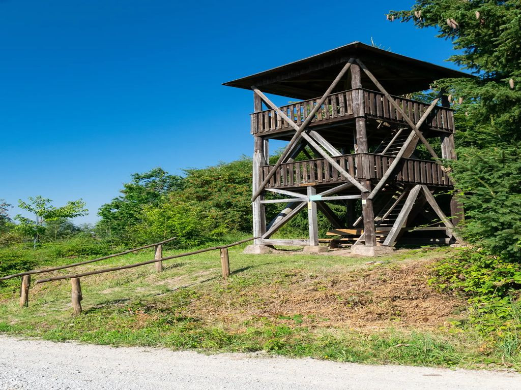 Harzblick Turm