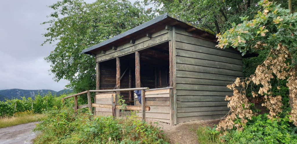 Am Silberberg